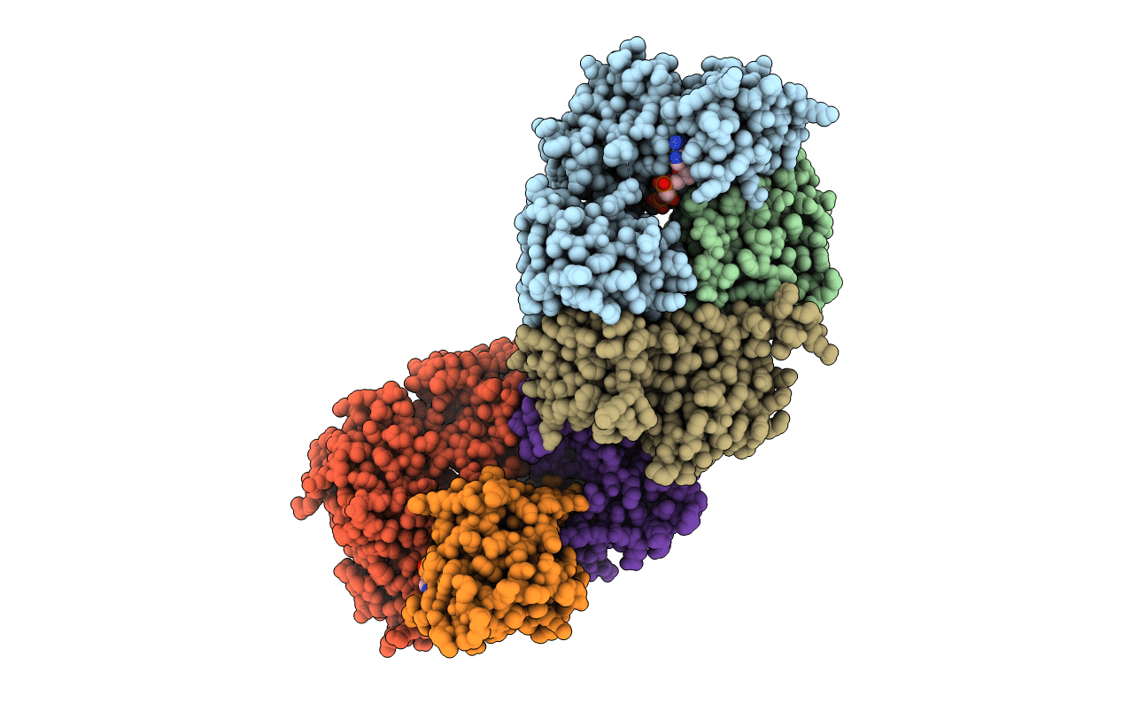 6S84 image