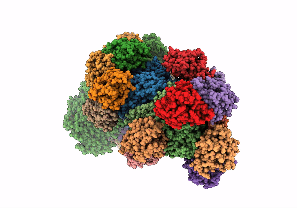 6S8B image