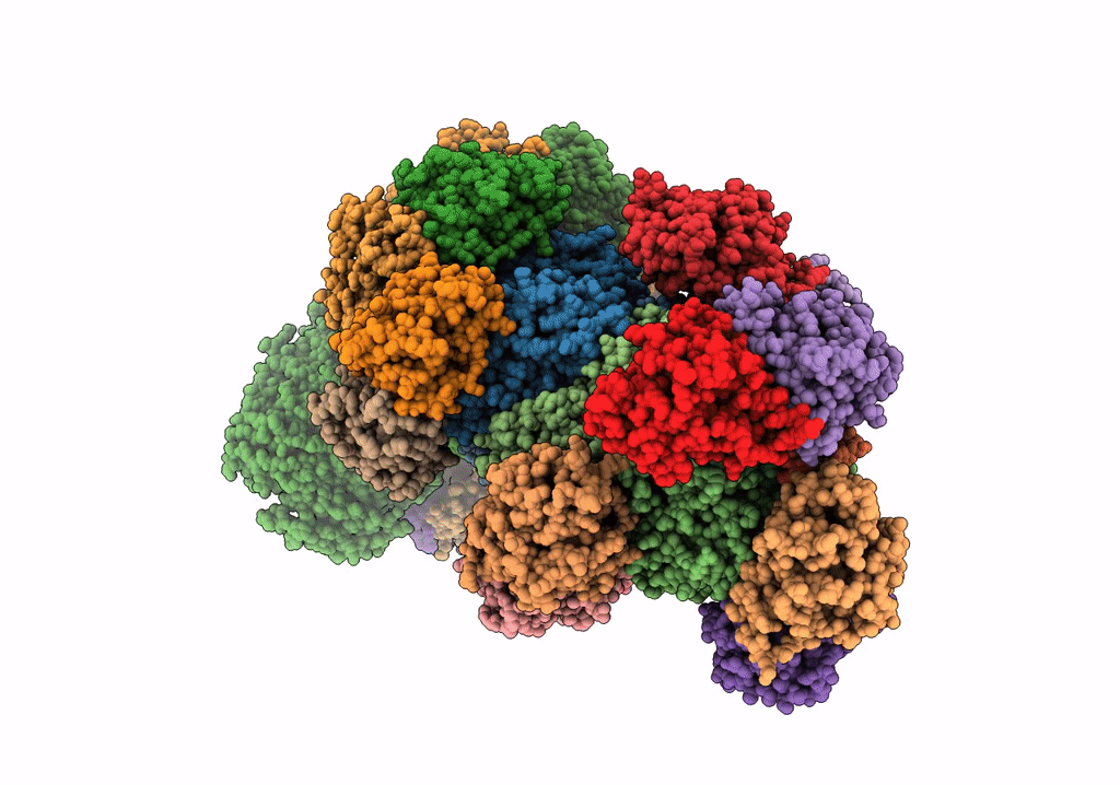 6S91 image