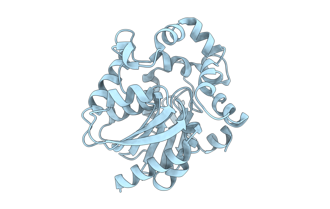 6S97 image
