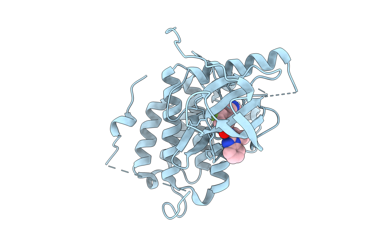 6S9B image