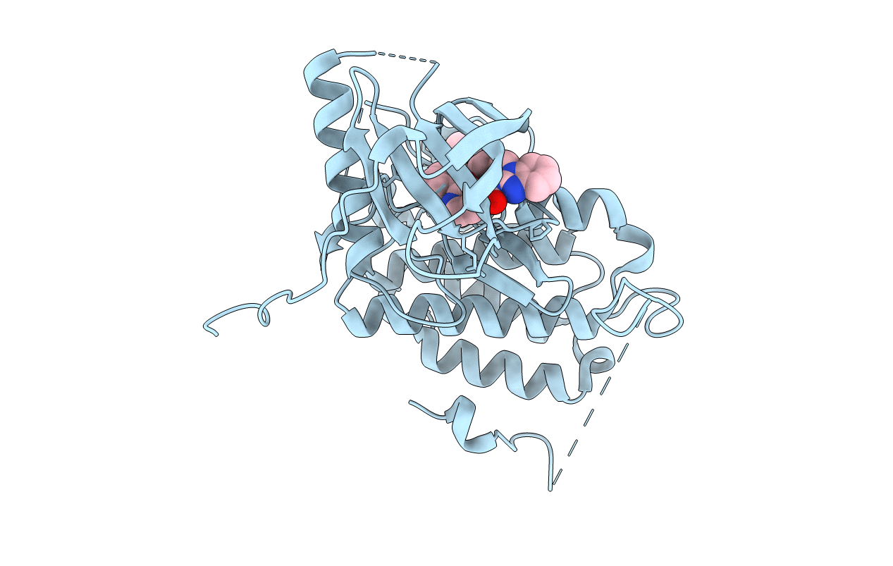 6S9D image