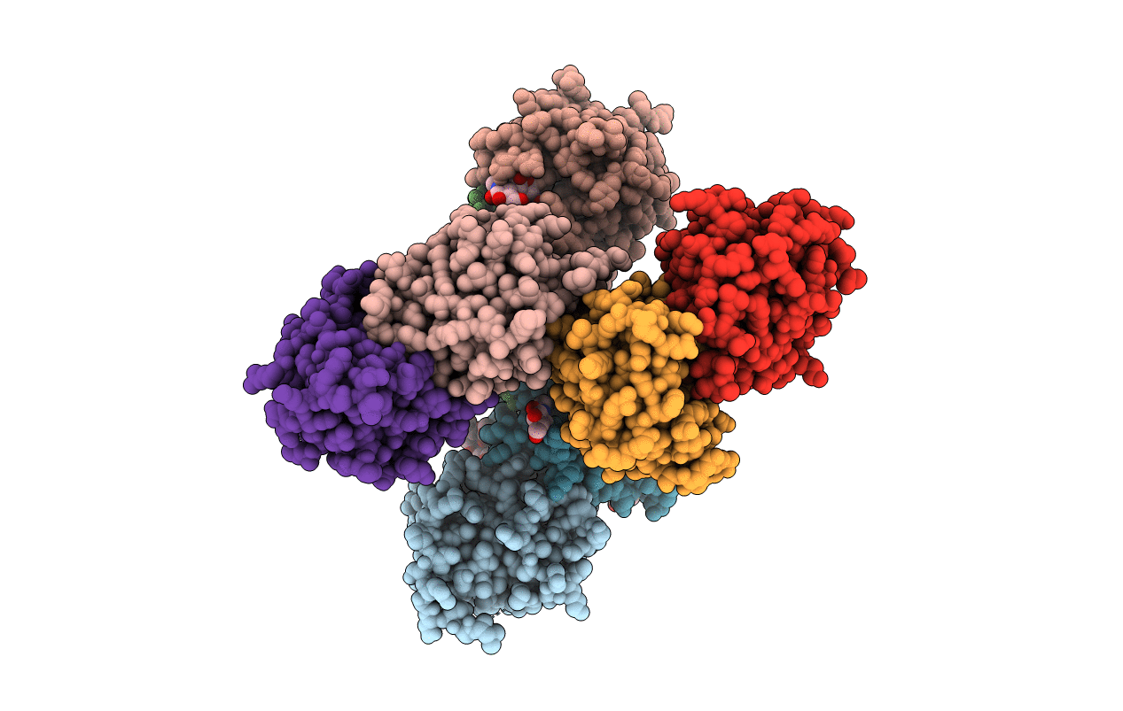 6S9J image