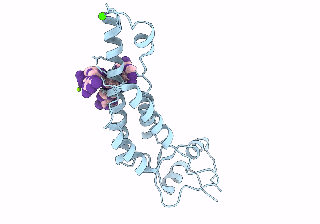 6SAG image