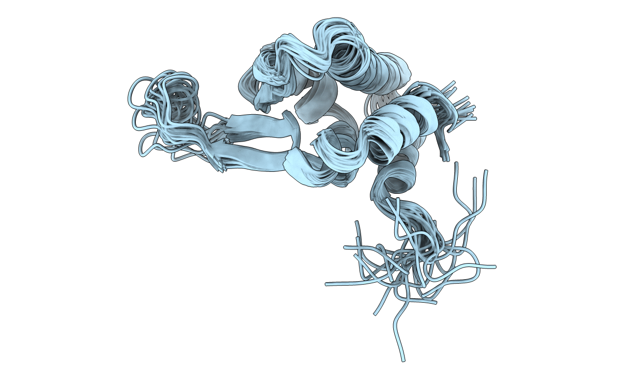 6SAP image