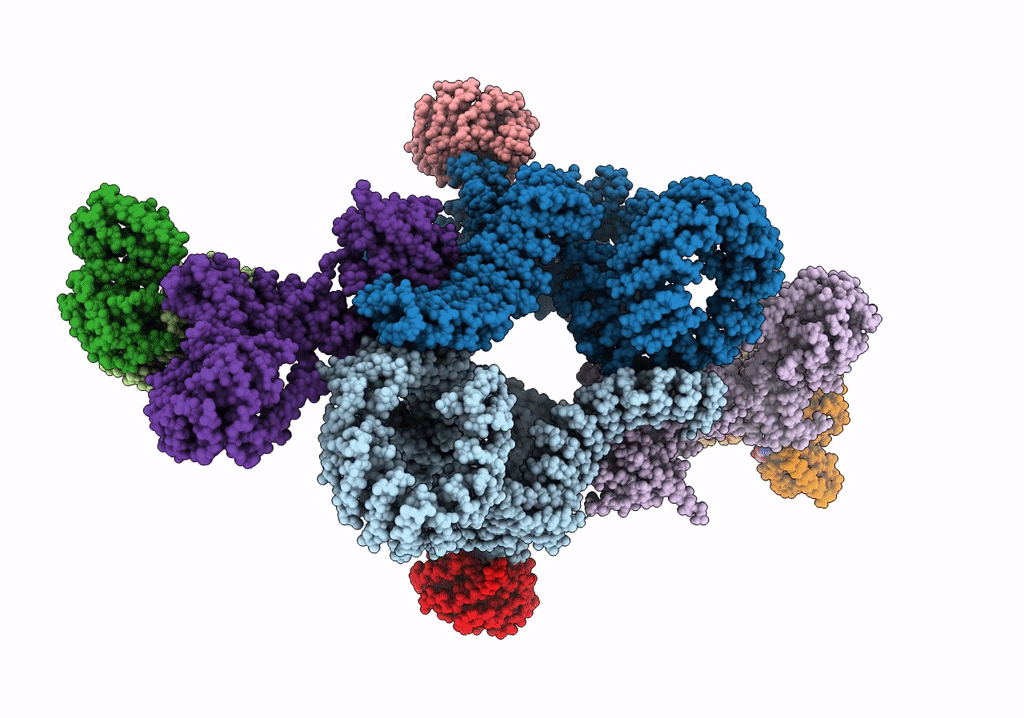 6SB2 image