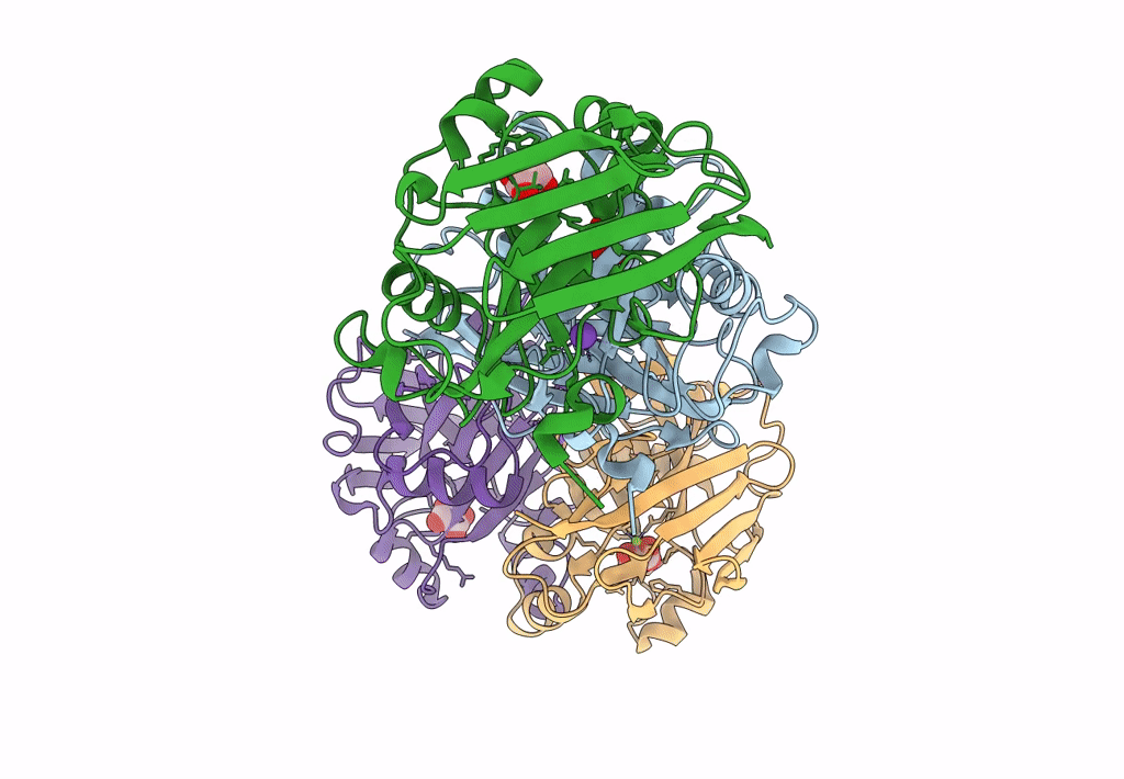 6SBI image