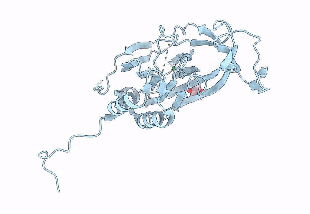6SBP image