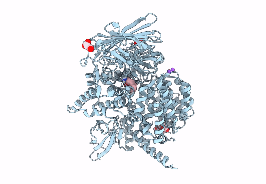 6SBQ image