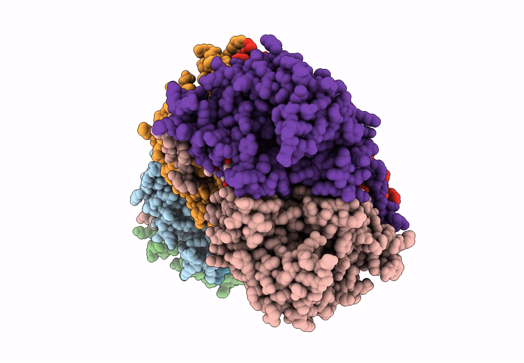 6SBV image