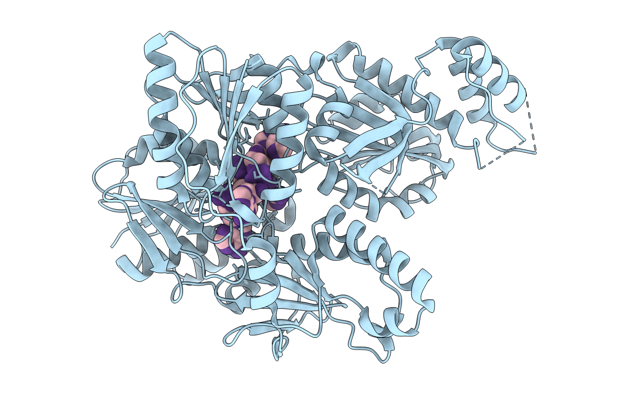 6SCE image