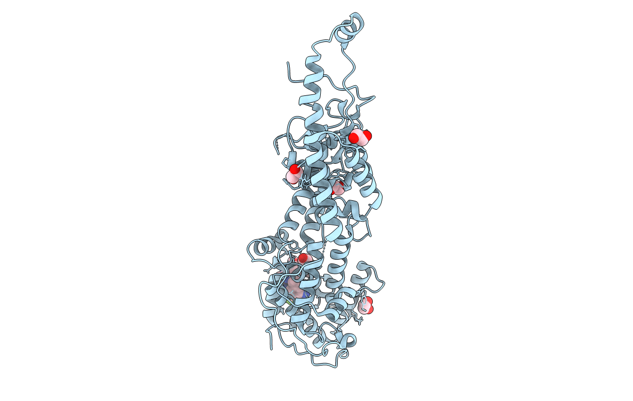 6SCM image
