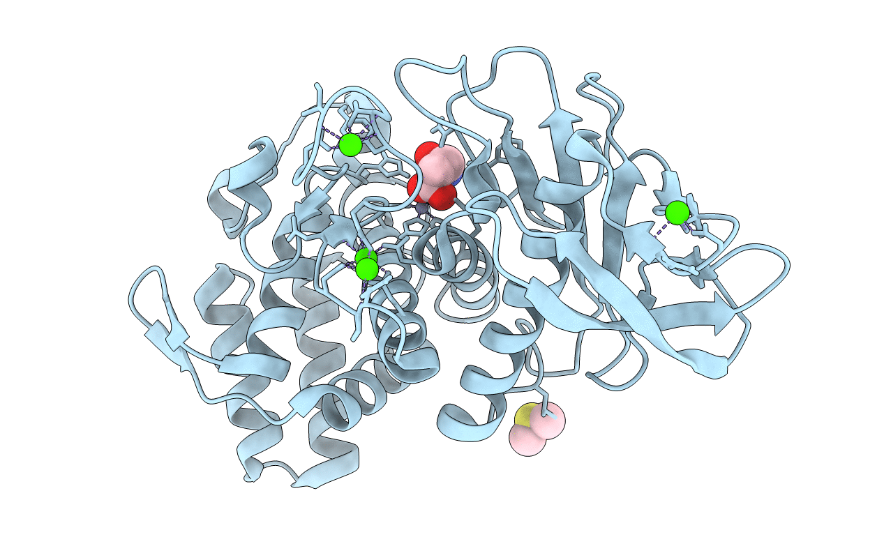 6SCU image