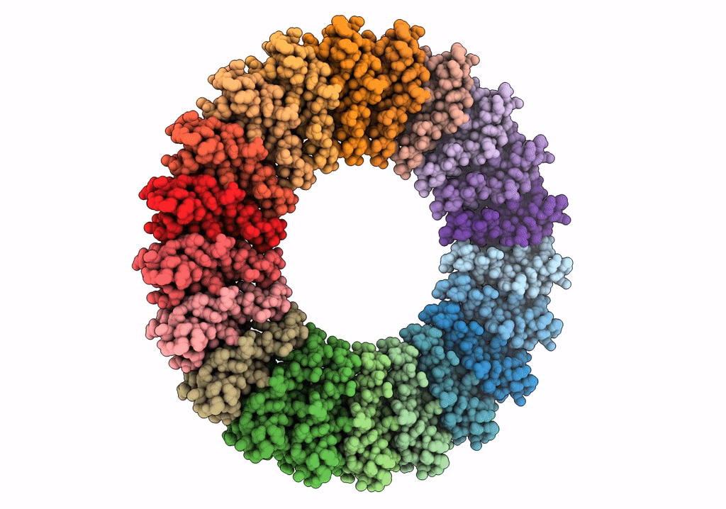 6SD2 image
