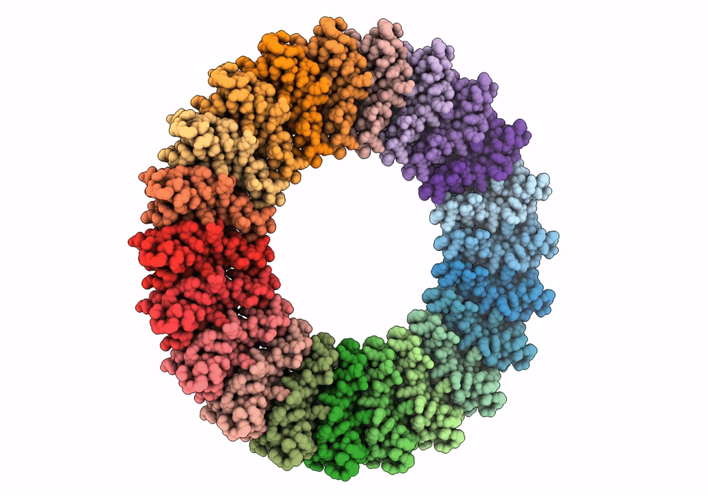 6SD5 image