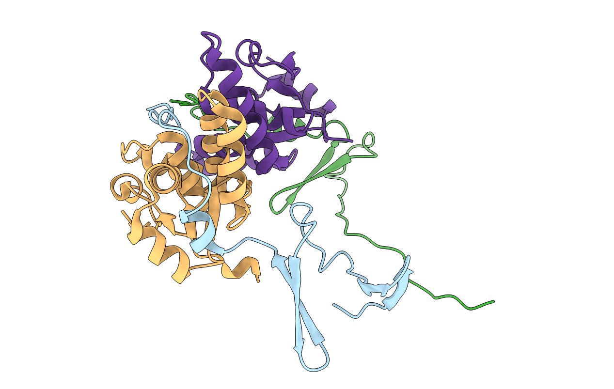 6SD6 image