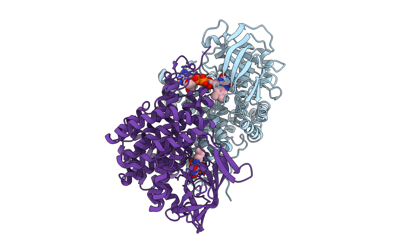 6SD8 image
