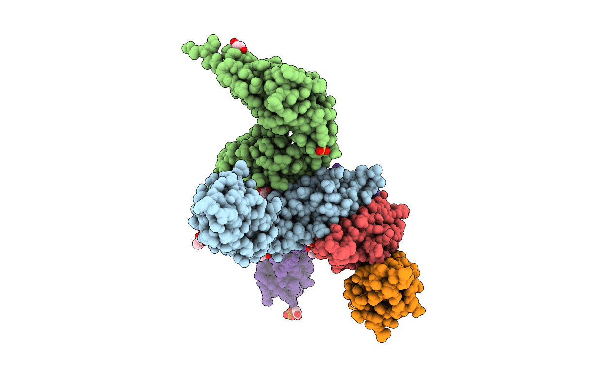 6SDB image