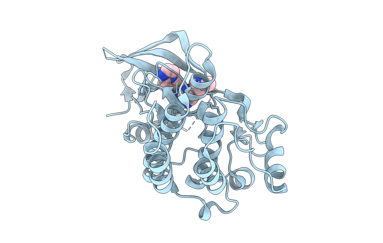 6SDE image