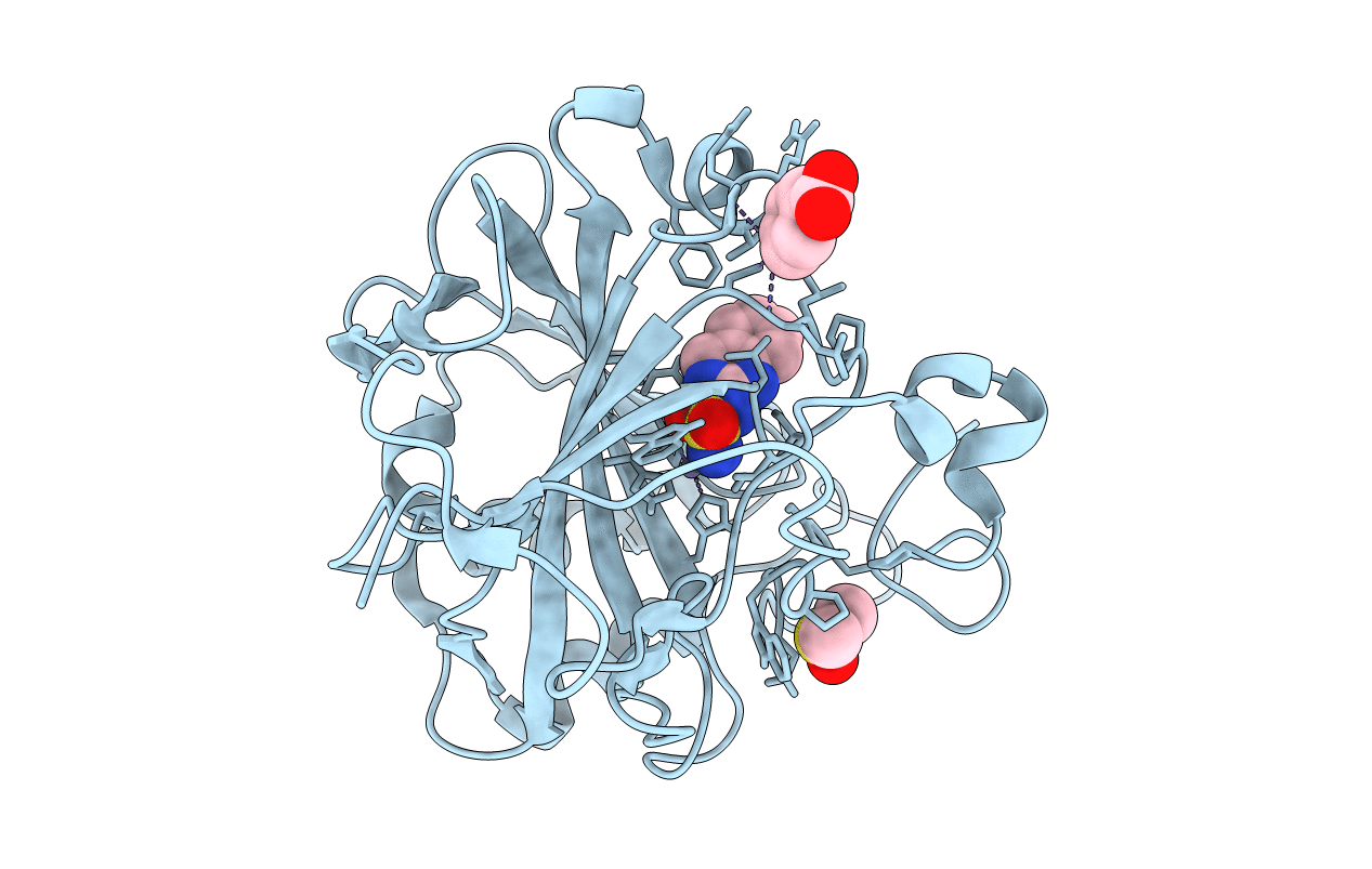 6SDI image