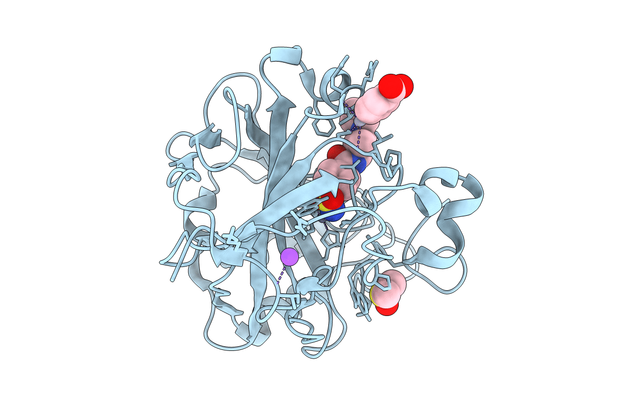 6SDL image