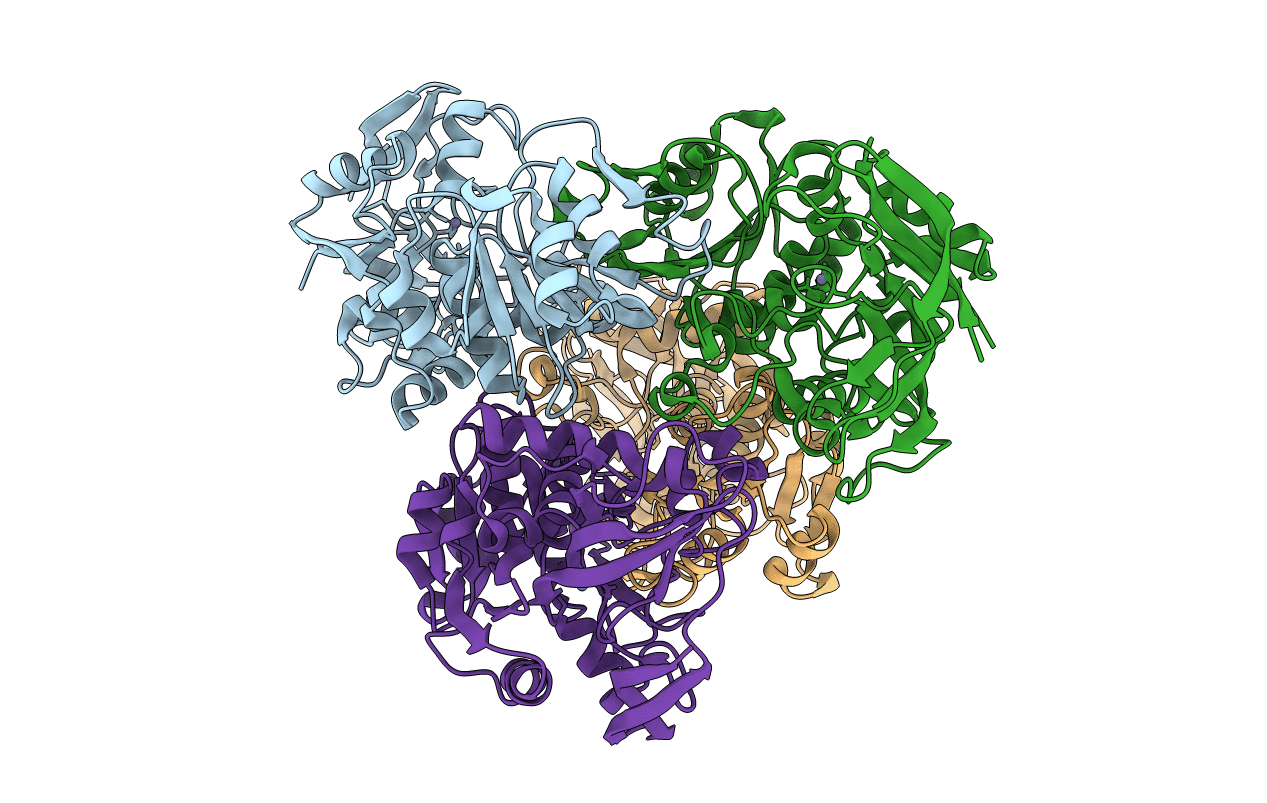 6SDM image