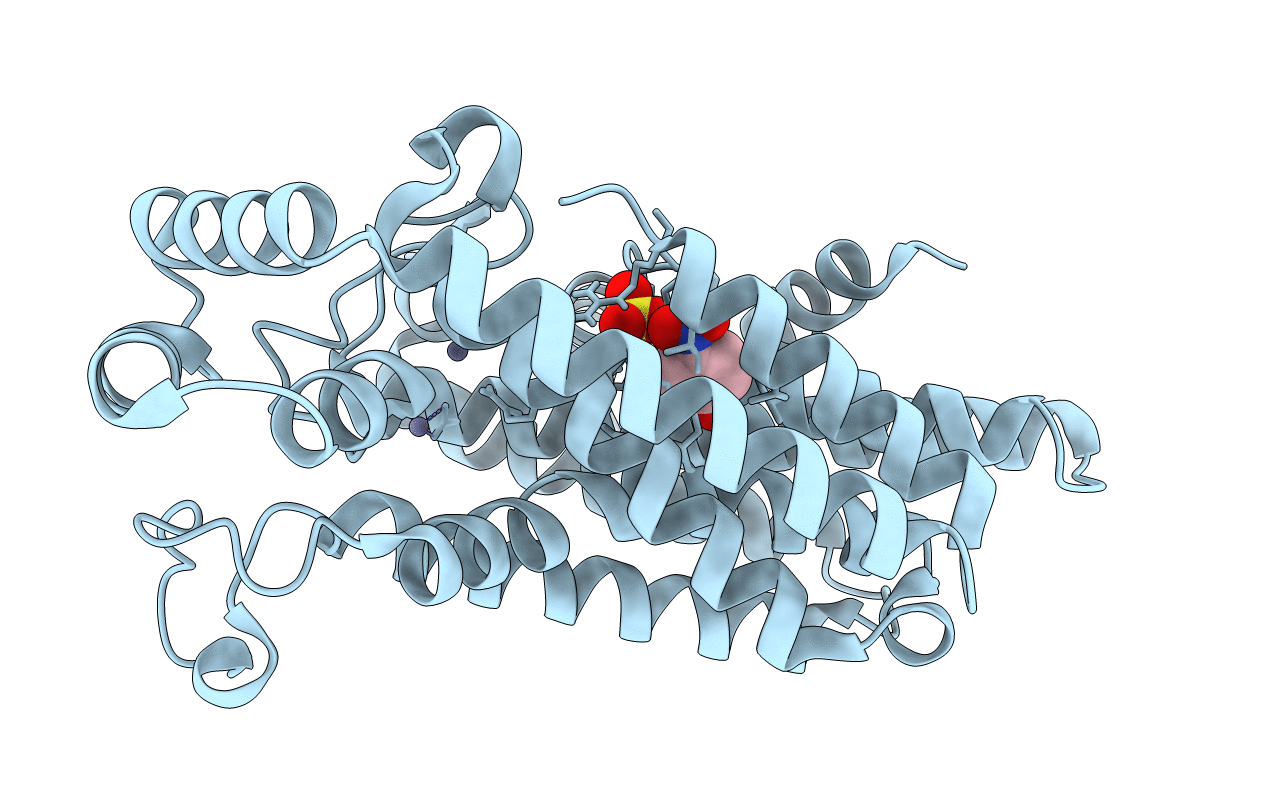 6SDP image