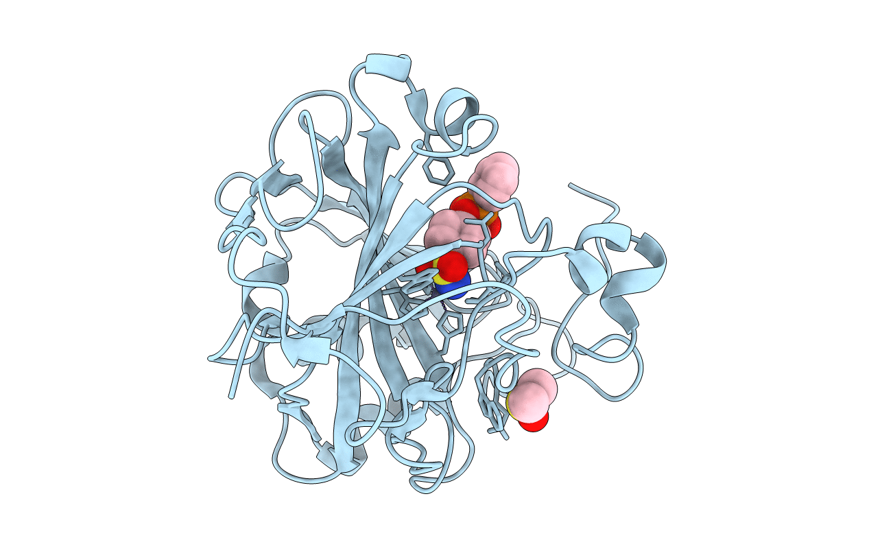 6SDS image