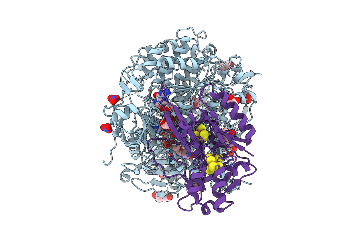 6SDV image