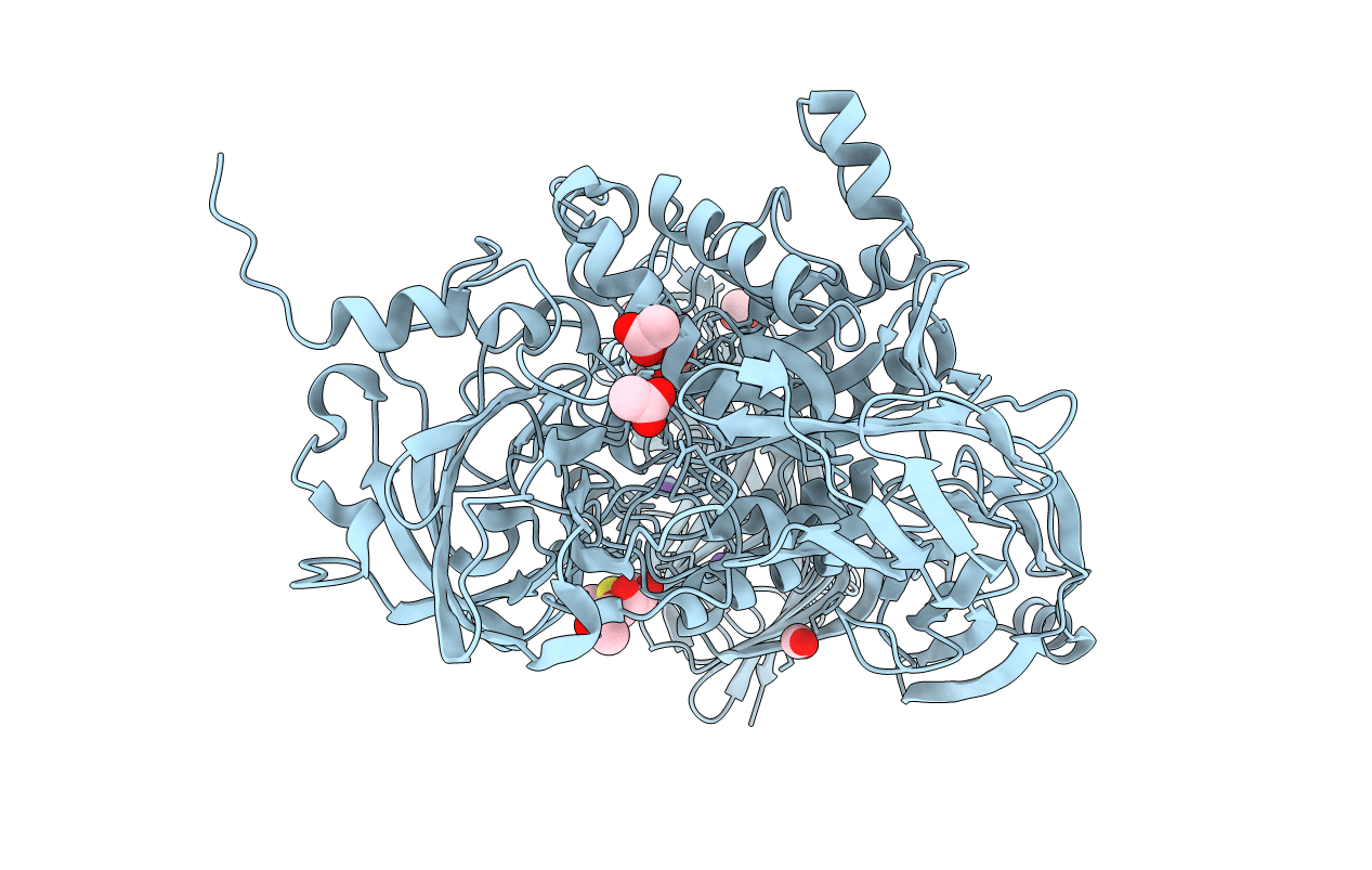 6SEB image