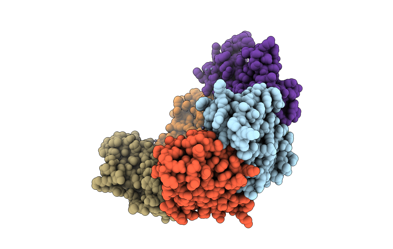 6SEV image