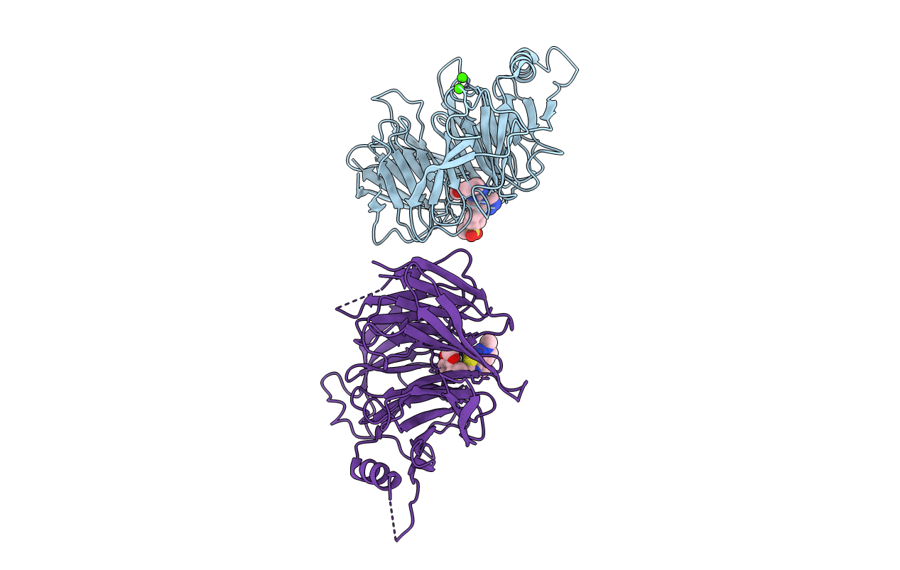 6SFC image