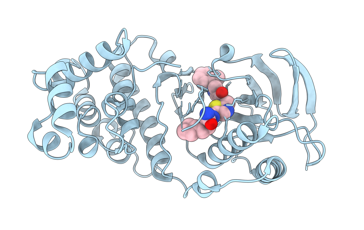 6SFI image