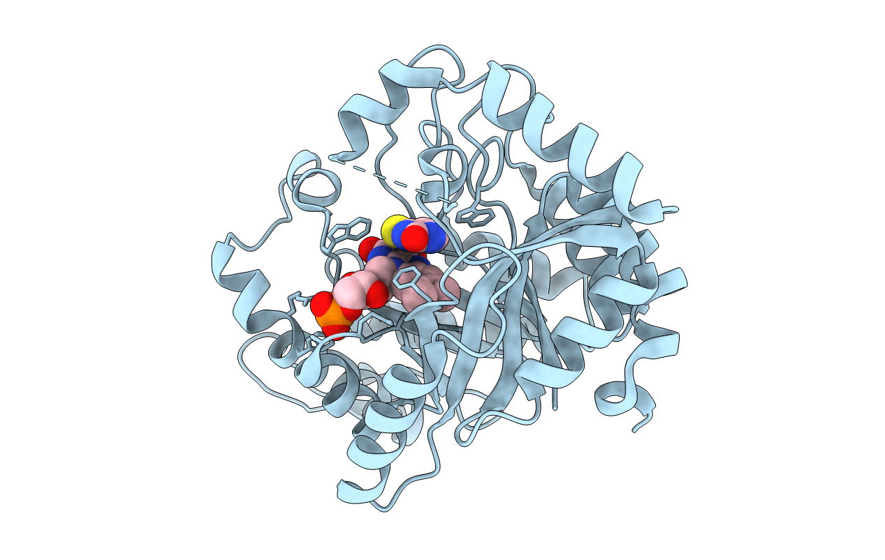 6SGM image