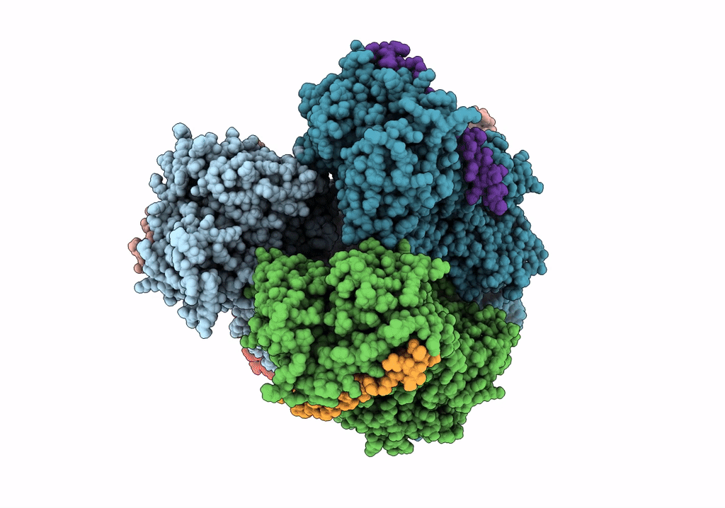 6SGR image