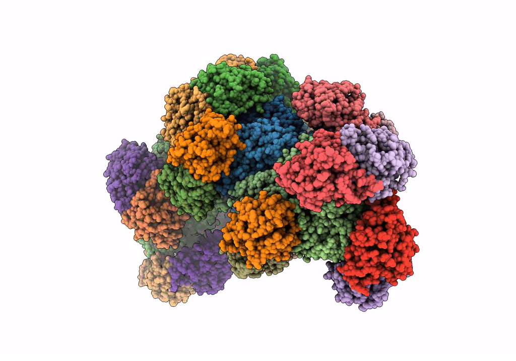 6SHB image