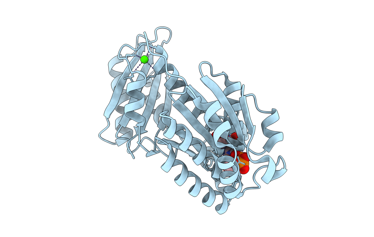 6SI9 image