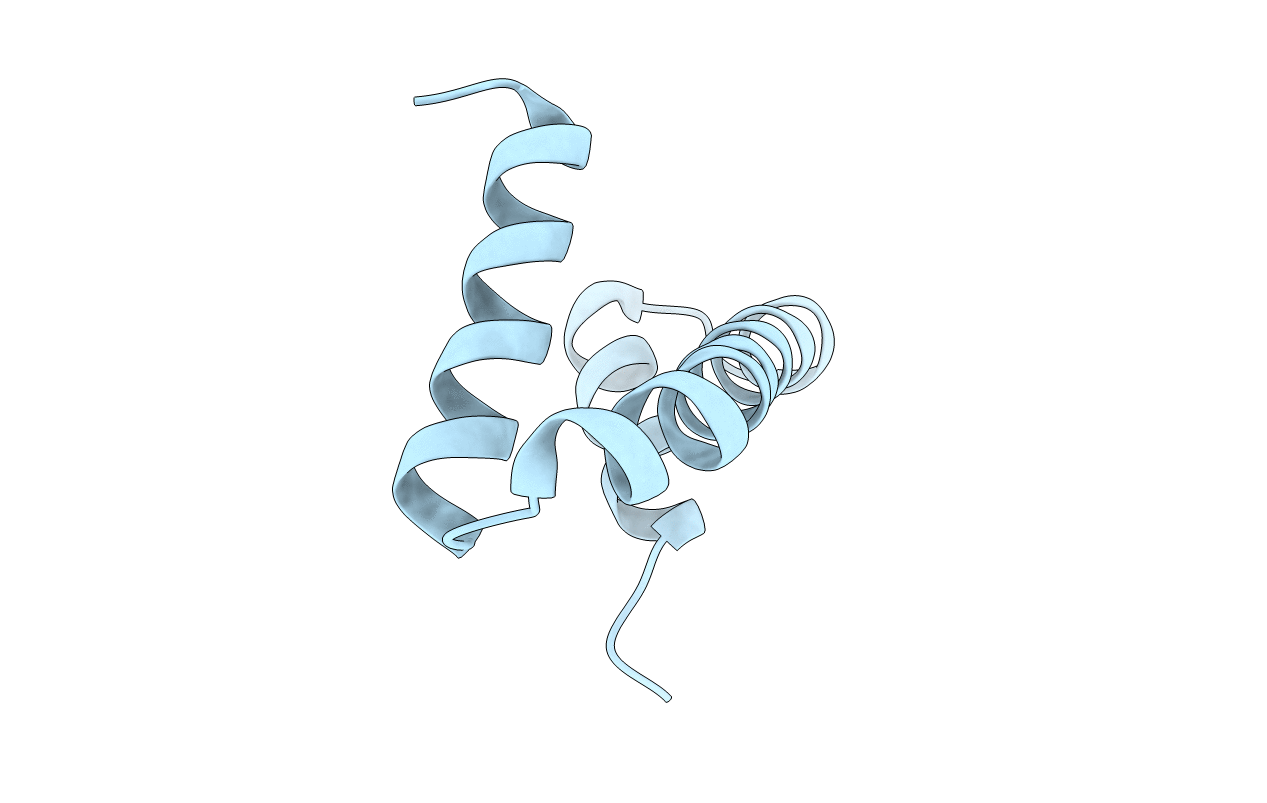 6SIB image