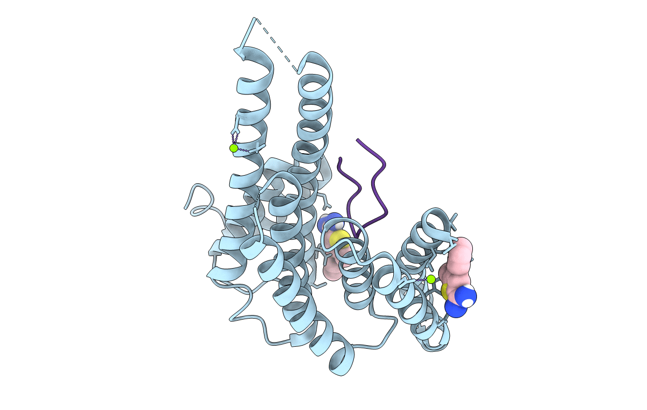 6SIO image