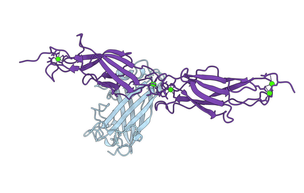 6SIT image