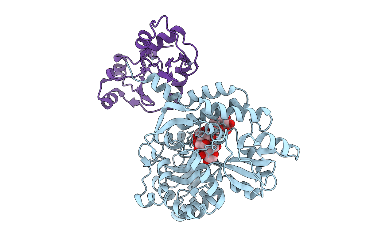 6SIV image