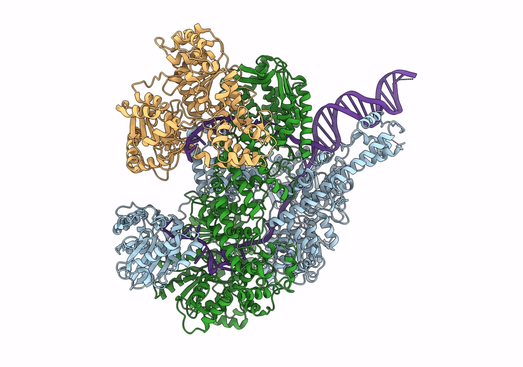 6SJE image