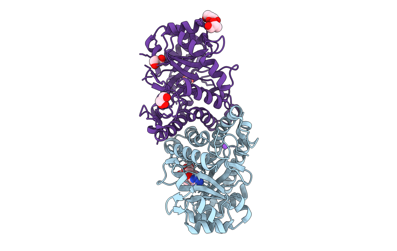 6SJN image