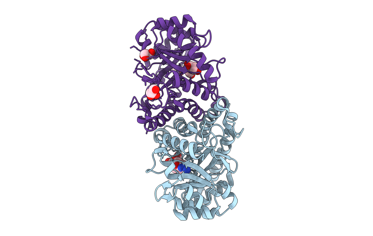 6SJO image