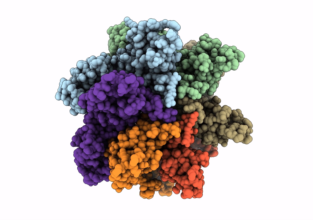6SKM image