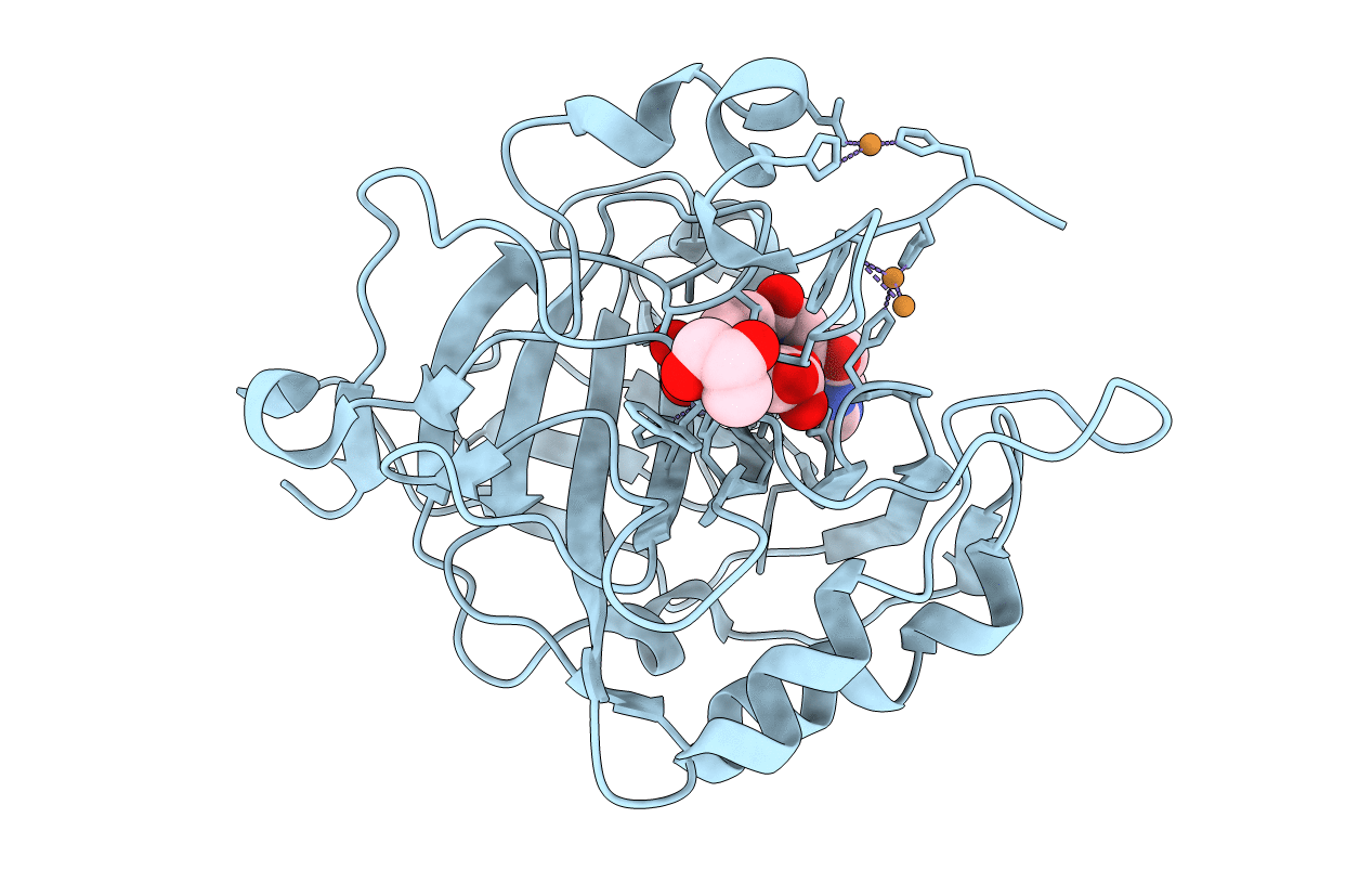 6SKV image