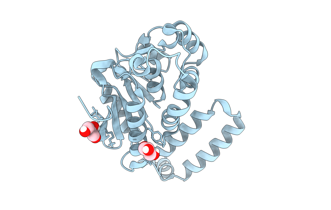 6SL9 image