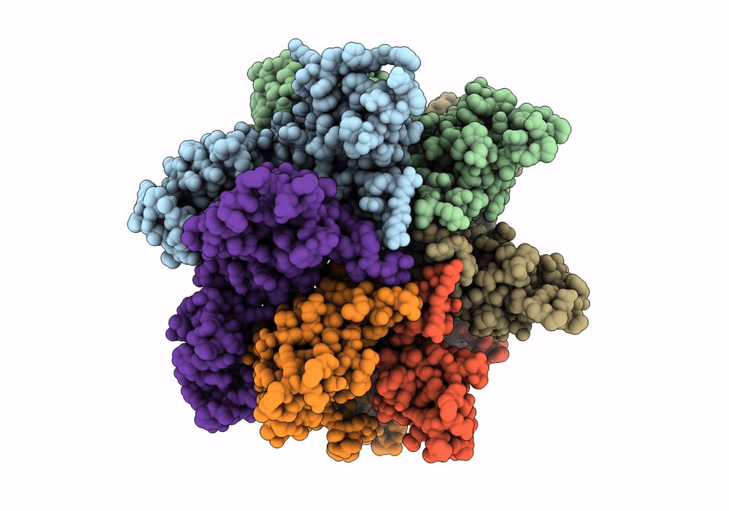 6SLQ image