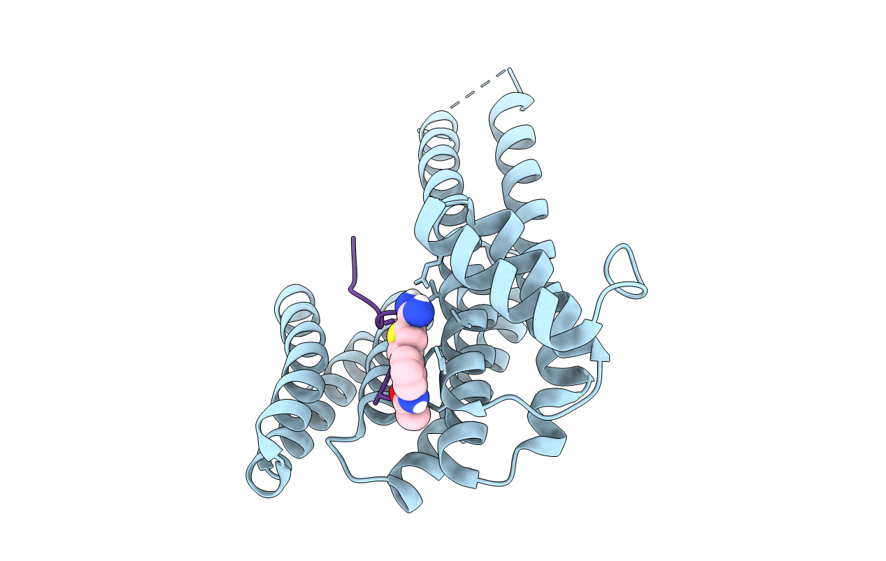 6SLX image