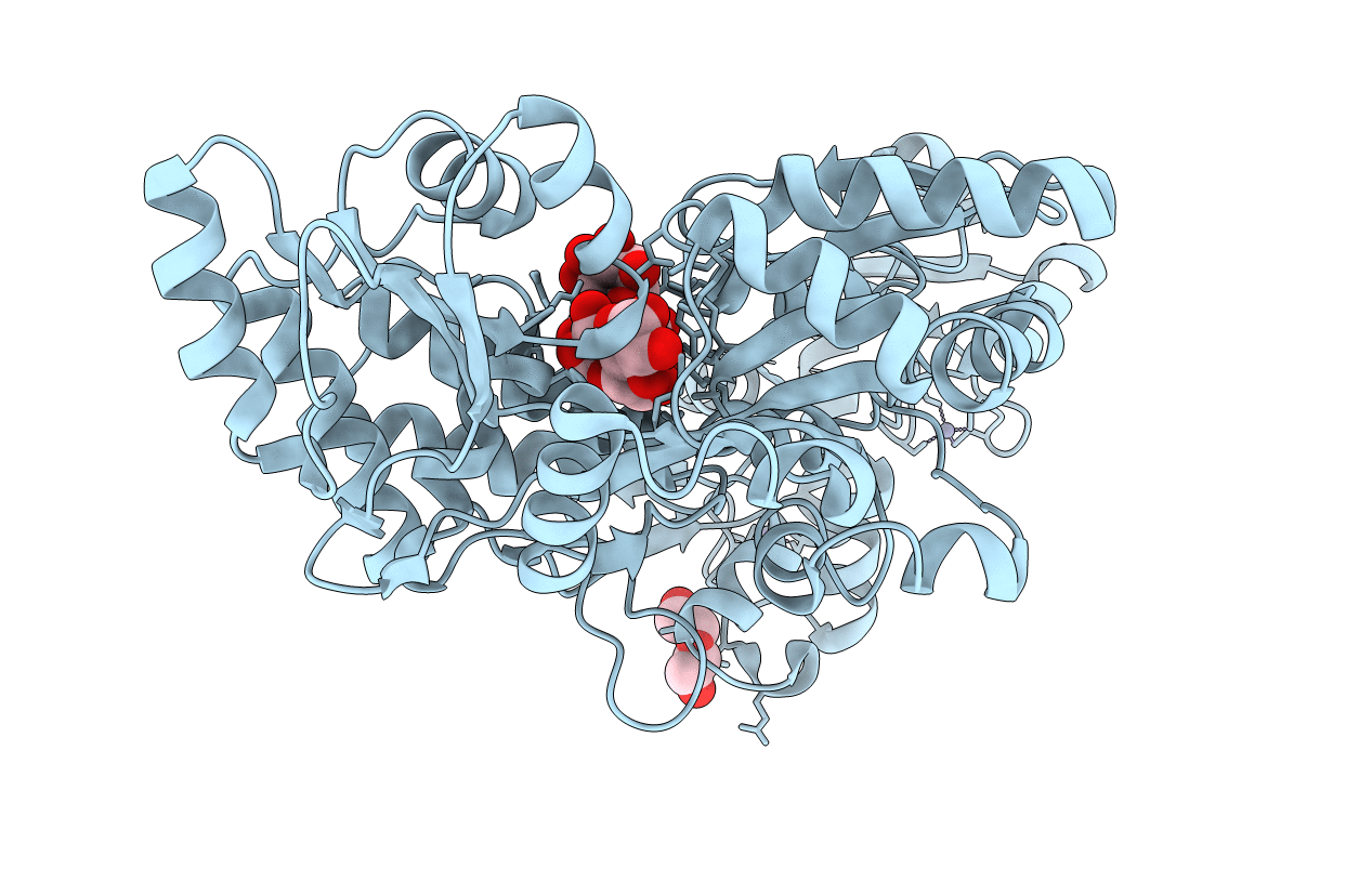 6SMV image